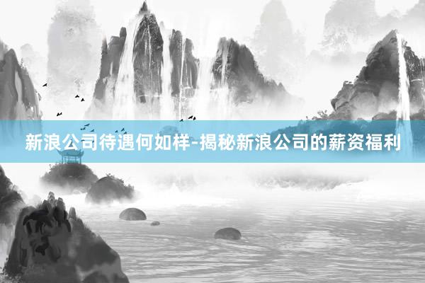 新浪公司待遇何如样-揭秘新浪公司的薪资福利